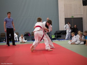 2013 03 05 - 052 Per Ottosson